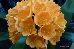 P1060134