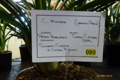 P1060135
