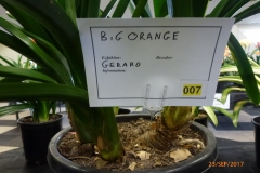 P1060635