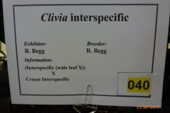 P1060641