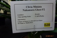 P1060643