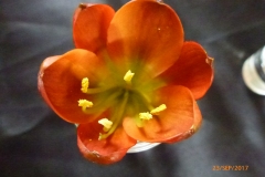 P1060669