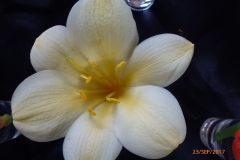 P1060670