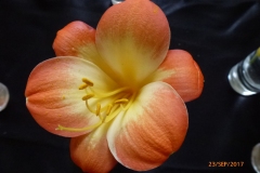 P1060671