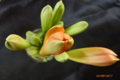 P1060672
