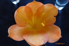 P1060675