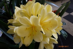P1060691