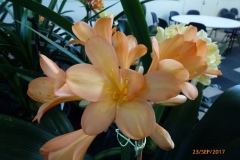 P1060693