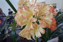 P1060786