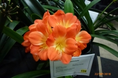 P1080246