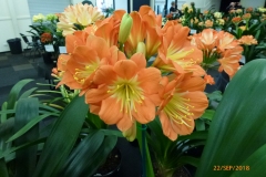 P1080351