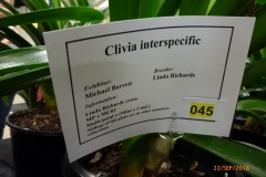 P1080403