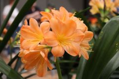 IMG_3088