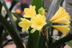 IMG_3094