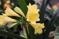 IMG_3095