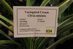 IMG_3108