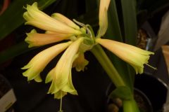 P1090128