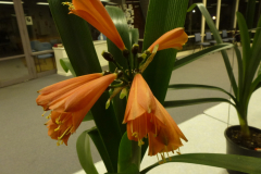 P1100404JPG
