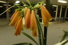 P1100405JPG