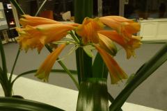 P1100406JPG