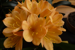 P1100457