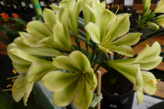 P1100461