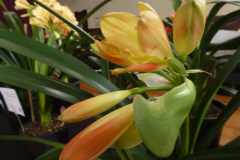 P1100463