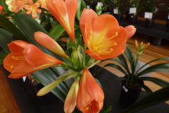 P1100469