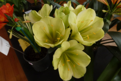 P1100473