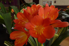 P1100475