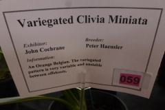 P1100476