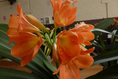 P1100477