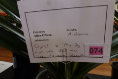 P1100478