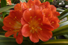P1100483
