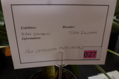 P1100484