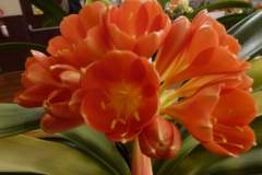 P1100487