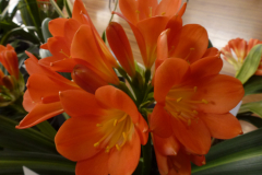 P1100489