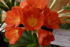 P1100491