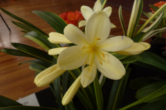 P1100493