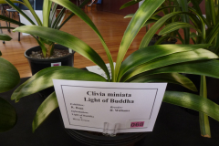 P1100496