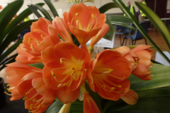 P1100497