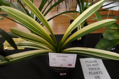 P1100499