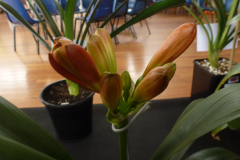 P1100507
