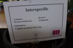P1100510