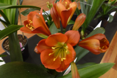 P1100511