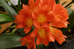 P1100525