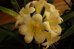 P1100527