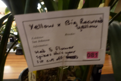 P1100532