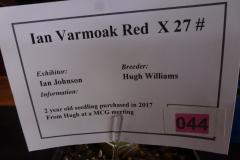 P1100545
