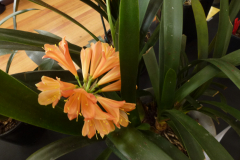 P1100571